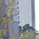 서울종합행정사LK사무소 네이버블로그
