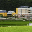 꽃내중학교 이미지