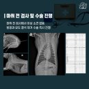 솔샘동물병원 이미지