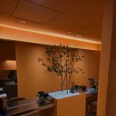 숨스칼프 이미지