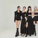 문 크리에이티브 그룹 뉴시스