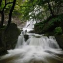 장인필축사 | 인간의 굴레