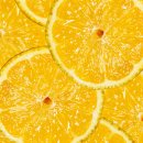 레몬의 꿈 이미지