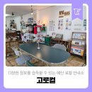 고로컬 | 다양한 정보를 습득할 수 있는 예산 로컬 안내소 고로컬