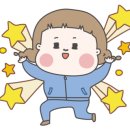 웰컴댕댕