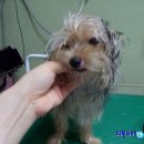 마린동물병원 이미지