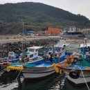 추도명진민박 이미지