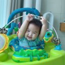 피오레 단양 이미지