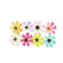 코스모스환경 이미지