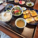 마타아시타 이미지