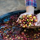 이티농장 이미지