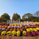 강원도립화목원 이미지