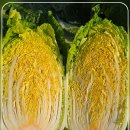 유기농배추/항암배추 묶음 50%후원 합니다 이미지