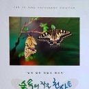 열정이사라지기전에