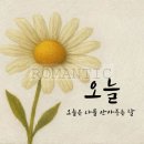 데이지인테리어