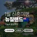 샤이어렌트카 | [Day 4] 1월 뉴질랜드 신혼여행 - 렌트카 대여, 캠브리지, 호비튼 마을 일일 투어, 로토루아로 이동