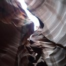 상업용 66 | 미국 여행 6일차: 캐년 1박 2일 투어 (2); 앤텔롭 캐년, 그랜드 캐년, 루트 66 포토존 + 카지노