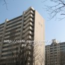 신동-89 이미지