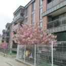 남동하우스 이미지