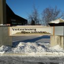 맑은 동물병원 이미지