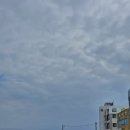 뱃머리 식당 이미지