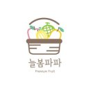 늘봄파파