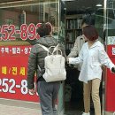 촉 이미지