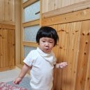 딸부자대게민박 네이버블로그