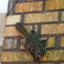 삼마농장 이미지