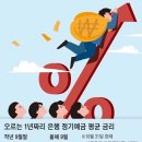 “10억원 넣으면 이자만 5500만원” 요즘 진짜 웃는 사람들은… 이미지