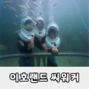이호테우 비치해변 | 제주도 액티비티 추천 이호랜드씨워커 이호테우해변 놀거리 만끽한 후기