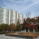 한국아파트 이미지