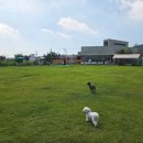 하이, 멍 이미지