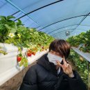 석진농장 이미지