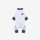 쿨 퍼피 이미지