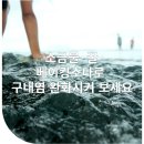 금곡치과의원 네이버블로그