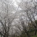 동광농장 이미지