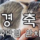 미스터부커피 이미지