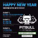 핏불 피트니스 이미지