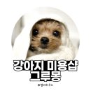 그루몽 이미지