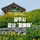 혜명의원 | [공주시] '황매화' 명소, 공주 10경, <갑사>를 다녀와서(황매화 개화상황 실시간, 축제정보, 국립공원...