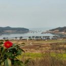 청산이야기 이미지