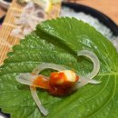 수원회집 | 수원역 근처 제철회 가성비 찐맛집 속초오징어어시장 수원역점 횟집 후기