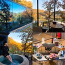 미러글램핑&풀빌라펜션 | 부산 근교 글램핑 추천 청도 감성 숙소 미러글램핑&amp;풀빌라펜션