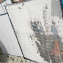 둔포초등학교 이미지