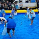 삼천포 용궁수산시장#9 이미지