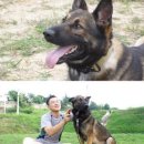 바둑이농장 이미지