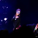 황금마차 이미지