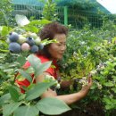 기순농장 이미지