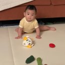 책+나는 꼬마요리사 | 이케아 아기 장난감 추천 | 웁스토 컵, 둑티그 채소 인형, 산드비 공 후기 [어린이날 선물]